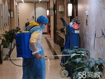 專業(yè)保潔服務(wù) 從美縫除醛到衣櫥整理，全方位守護(hù)家居健康